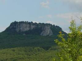TN_DSC06118.JPG