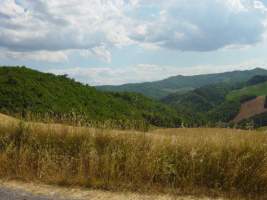 TN_DSC06122.JPG