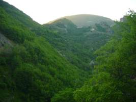 TN_DSC06179.JPG