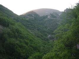TN_DSC06181.JPG