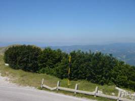 TN_DSC06205.JPG